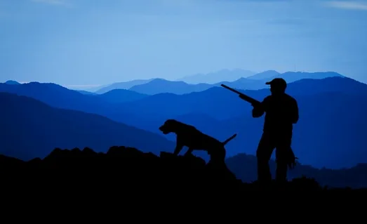 Avcılık Kursu Nedir? Resimde avcı ve köpeği