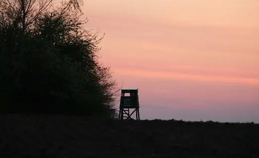 Avcılık Belgesi türleri ve başvuru farkları
