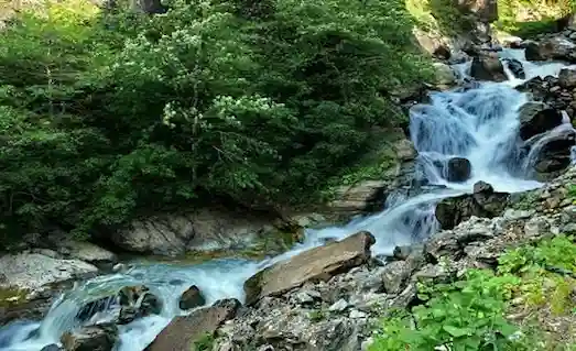 Karadeniz bölgesinden akarsu, doğal soğuk su kaynağı ve alabalık yaşam alanı