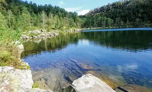 Alabalıkların yaşam alanı olan göl, soğuk ve oksijenli tatlı su ekosistemi