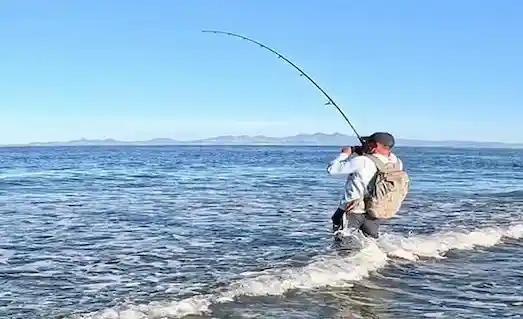 shore-jigging-takimi-ve-ekipman-rehberi-2024