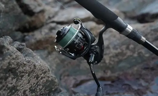 Spin Balıkçılığı 2024: Takım ve Ekipman Seçimi 1 Spin Balıkçılığı Doğru ekipman ve sahte seçimiyle gelen spin avı başarısı.