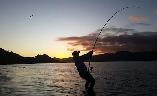 Surf Casting: Başlangıç Takım ve Ekipman Seçimi 2 Surf casting kamışı esneme görseli, parabolik aksiyon ve güç aktarımı.