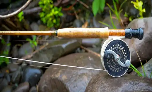 Fly fishing için kullanılan fly kamışı ve makara görseli