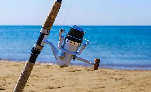Çipura avında kullanılan surf kamışı ve makine ekipmanı görseli