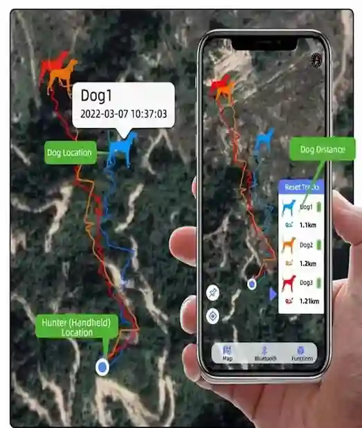 Köpek GPS takip cihazı canlı takip ekranı