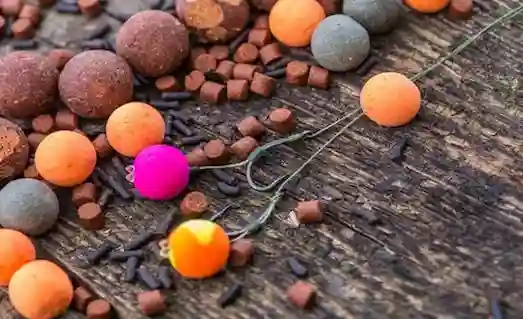 Sazan avı için hazırlanan bol yem karışımı ve yemleme hazırlığı