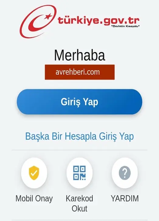e-Devlet mobil giriş sayfası ve amatör balıkçılık belgesi başvuru ekranı