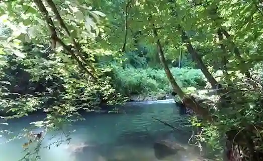 Kırmızı Benekli Dere Alabalığı Avı Taktikleri 2 kirmizi-benekli-dere-alabaligi-avi