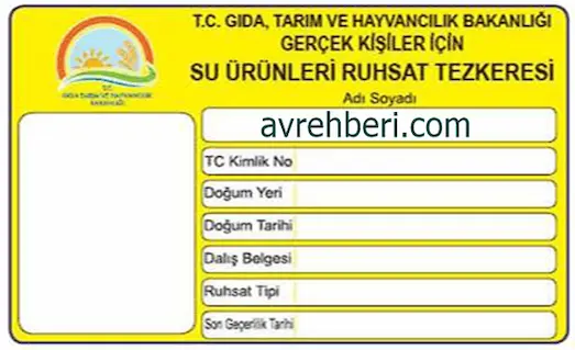 Su Ürünleri Ruhsat Tezkeresi Ücreti 2026 | Sarı Kağıt 6 su urunleri ruhsat tezkeresi ucreti 2026 sarı kagıt
