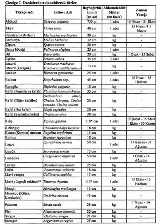 Denizlerde Amatör Balıkçılık: Yasaklar ve Limitler (2026) 3 Denizlerde Amatör Balıkçılık avlanabilecek yasal balık türleri limit tablosu; lüfer, levrek ve çipura boy sınırları.