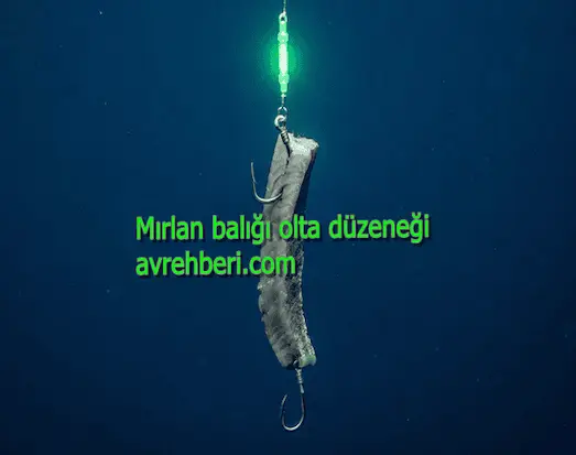 Derin deniz mırlan balığı avında kullanılan yaprak yem takılı hırsızlı dip oltası düzeneğinin teknik gösterimi.