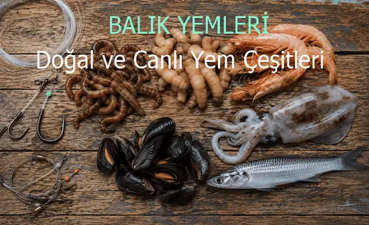 Balık Yemleri: İğneye Takma ve Seçim Sırrı 15 Balık avında kullanılan doğal yemler, canlı yemlik balıklar ve olta takımları.