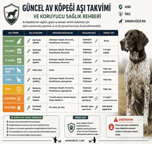 Güncel Av Köpeği Aşı Takvimi ve Koruyucu Sağlık 9 Güncel Av Köpeği Aşı Takvimi