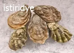 Balık Yemleri: İğneye Takma ve Seçim Sırrı 16 İstiridye doğal balık yemi